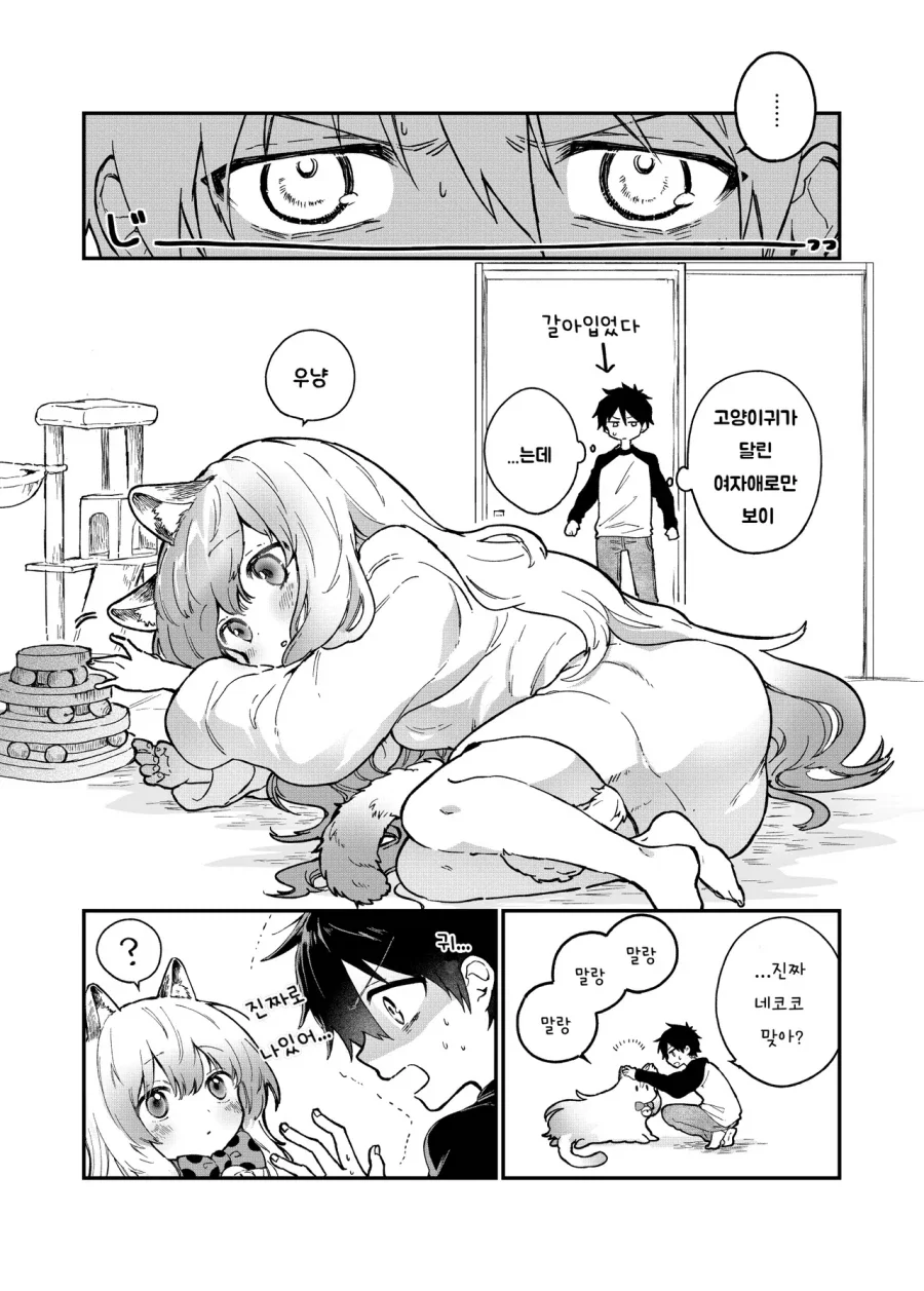 여자애보다 고양이가 더 귀여워 .manwha_7.webp