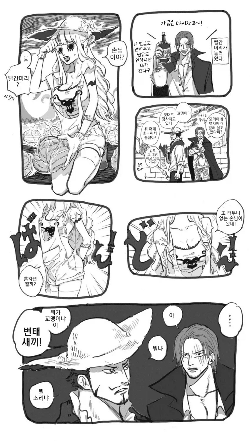원피스 팬만화)