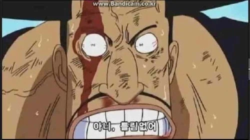 원피스) 블루노도 보면 참 신기해_9.webp