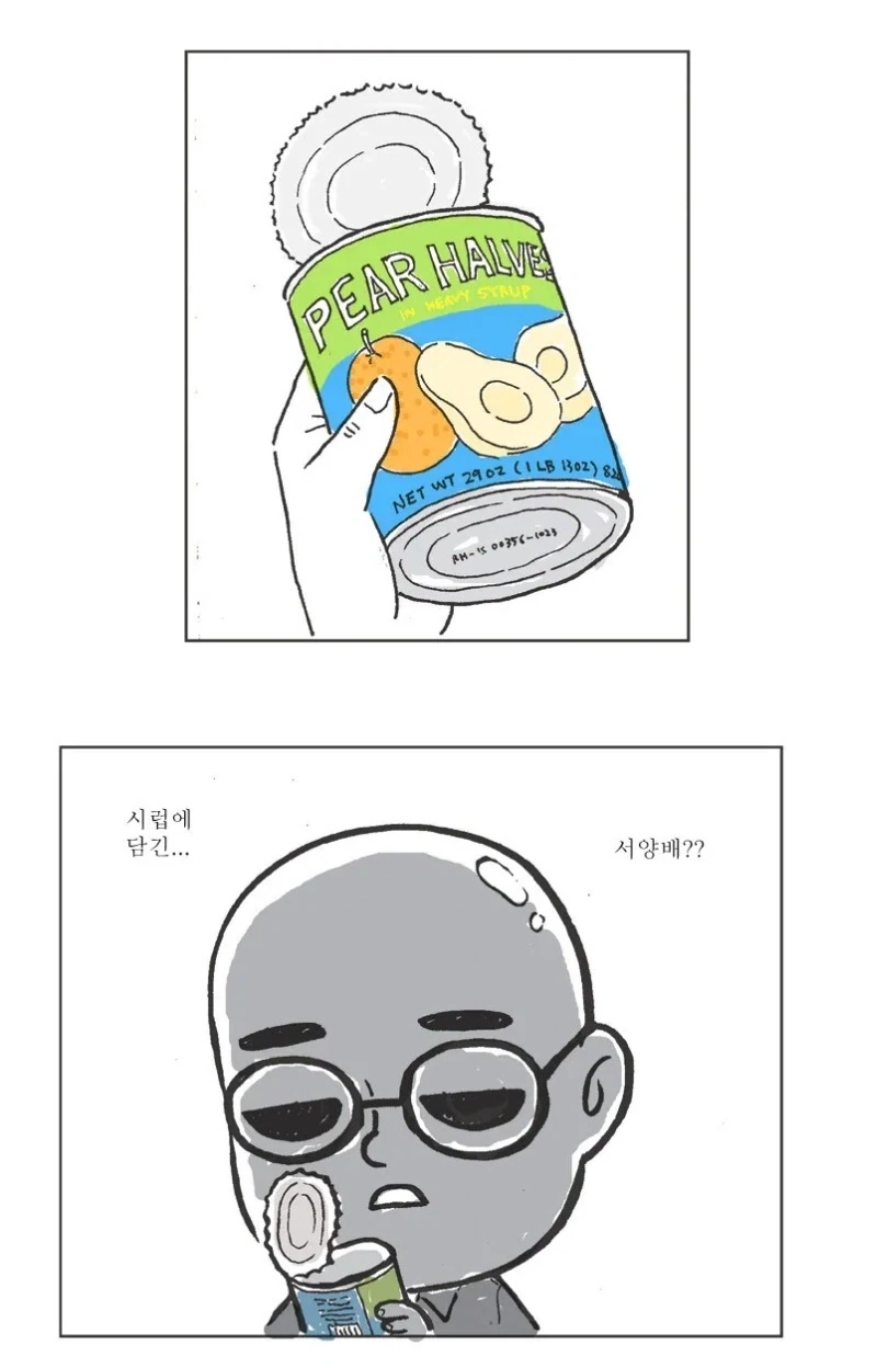 파인애플 피자 역지사지하는 만화.jpg_9.webp