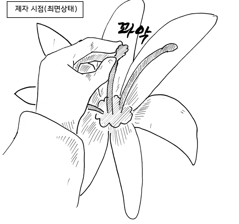 (후방) 드래곤 스승님 하고 xx 하고싶은 만화 manwha(드래곤NTR편)_24.webp