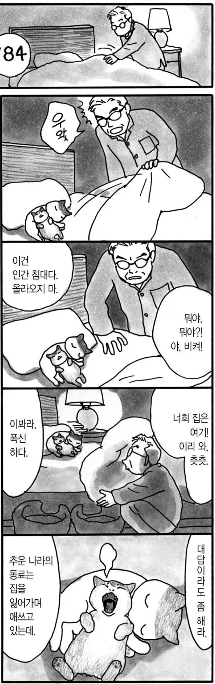 고양이 극혐하는 할아버지 만화_1.webp