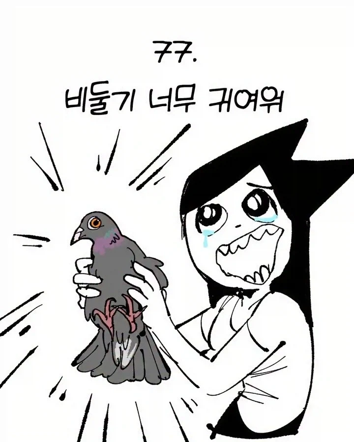비둘기가 너무 귀여운 만화_1.webp