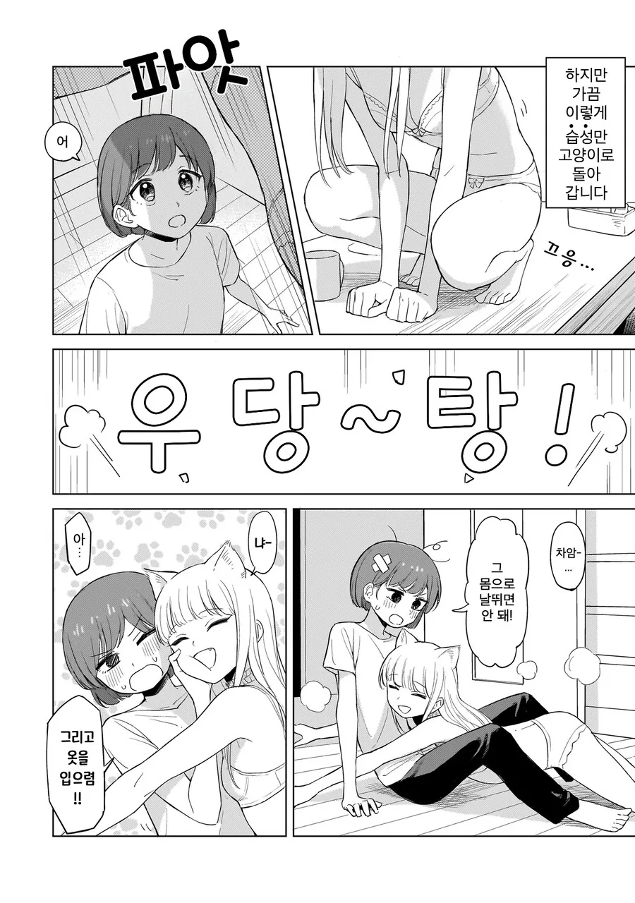 백합)고양이랑 보비는 만화_3.png
