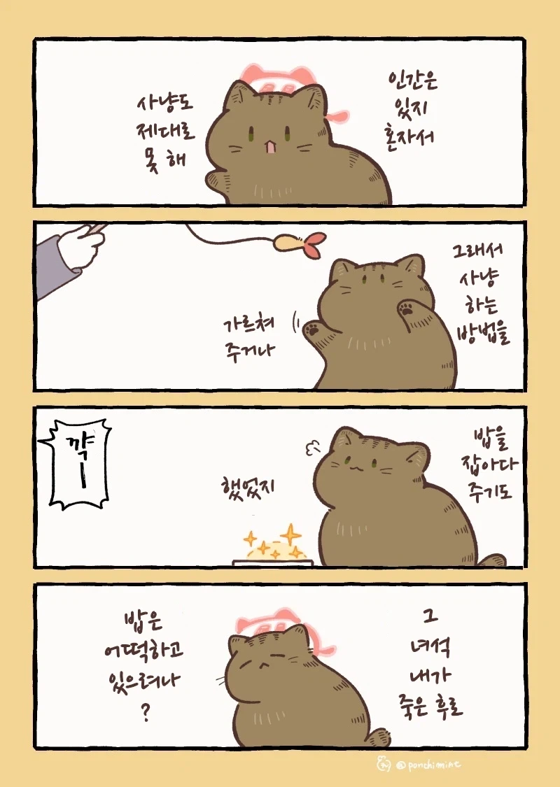 ToonPop - 가볍게 넘기는 웹코믹 피드 이미지 22