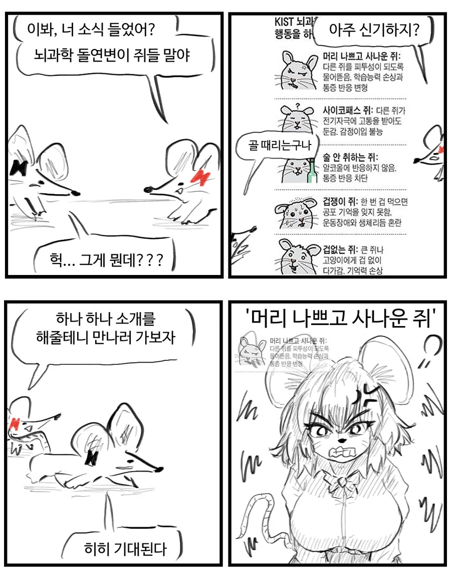 ToonPop - 가볍게 넘기는 웹코믹 피드 대표 이미지