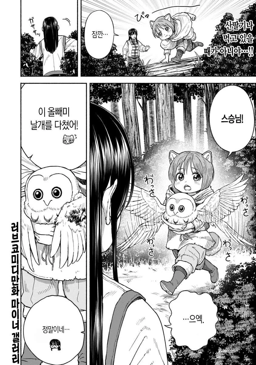 manga_2902591_003.webp