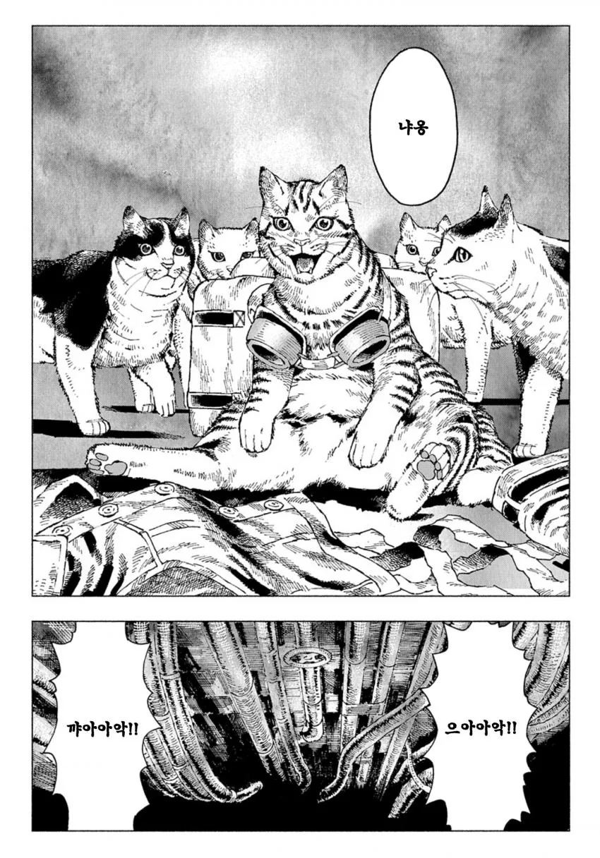 manga_1434245_006.webp