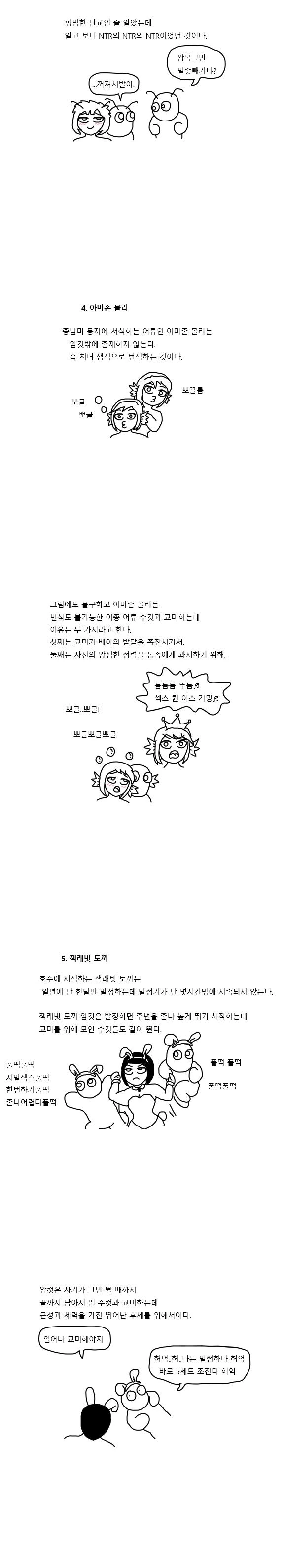 manga_1322804_003.webp