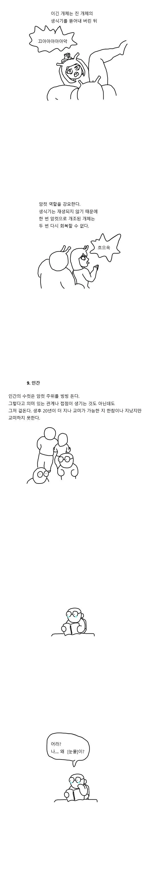 manga_1322804_005.webp