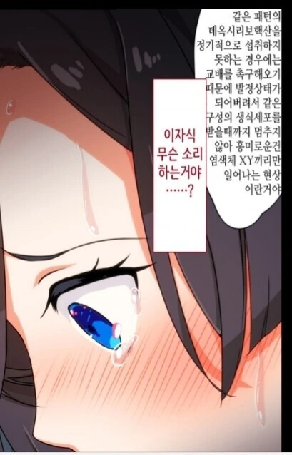 manga_2716503_003.webp