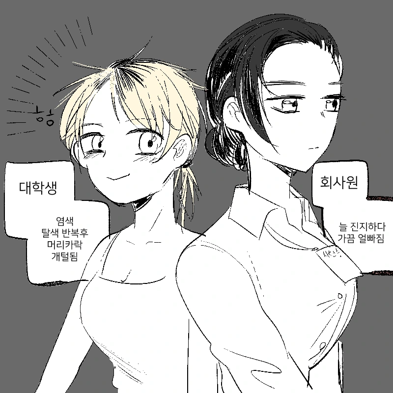 manga_2373110_001.webp