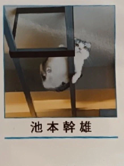 은근슬쩍 자캐딸치는 보루토 작가_2.webp