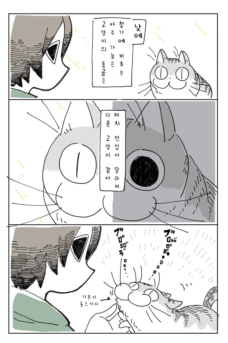 manga_1792911_002.webp