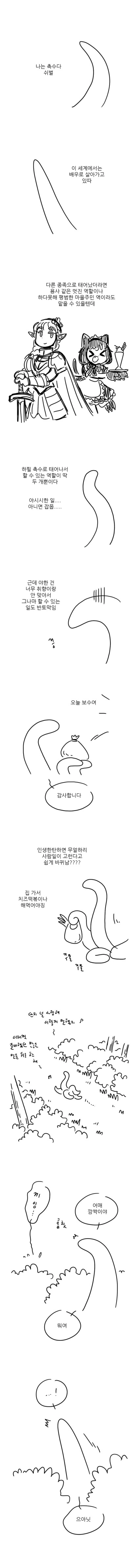 manga_3421864_001.webp