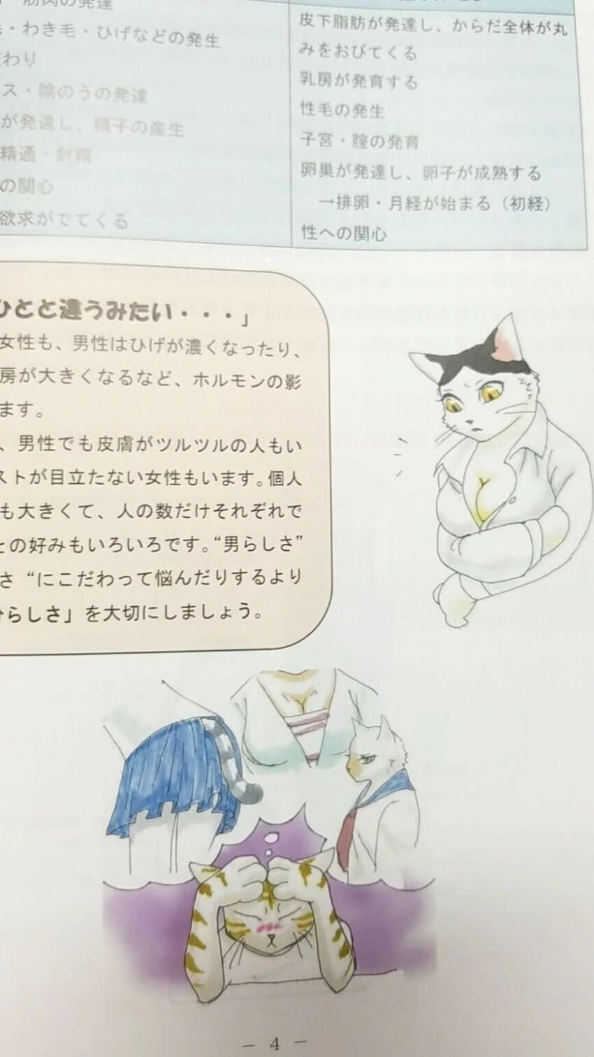 일본의 성교육 교과서 삽화 수준. manga_1.jpg