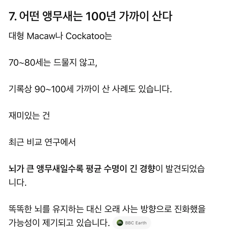 원피스) 와 gpt한테 앵무새 특성 속성강의 들었는데 소름돋음 ㄷㄷ_2.webp