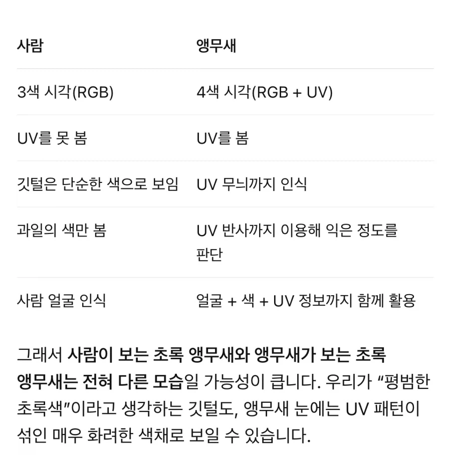 원피스) 와 gpt한테 앵무새 특성 속성강의 들었는데 소름돋음 ㄷㄷ_3.webp