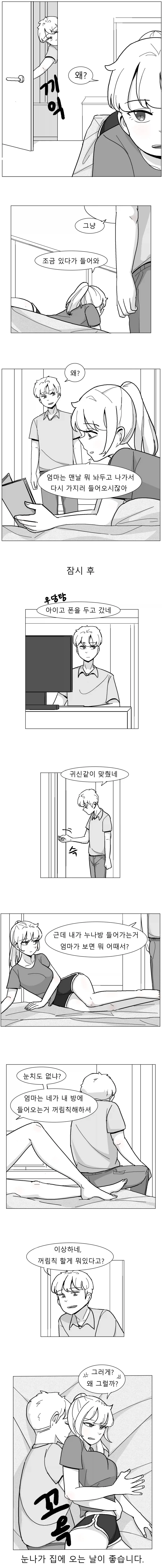 누나방에 들어가려는 만화_1.webp