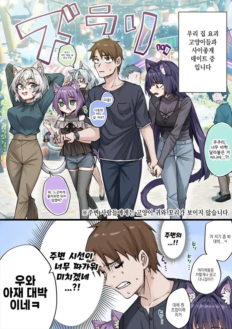 요괴 고양이들이랑 하렘 데이트 하는 만화_1.webp