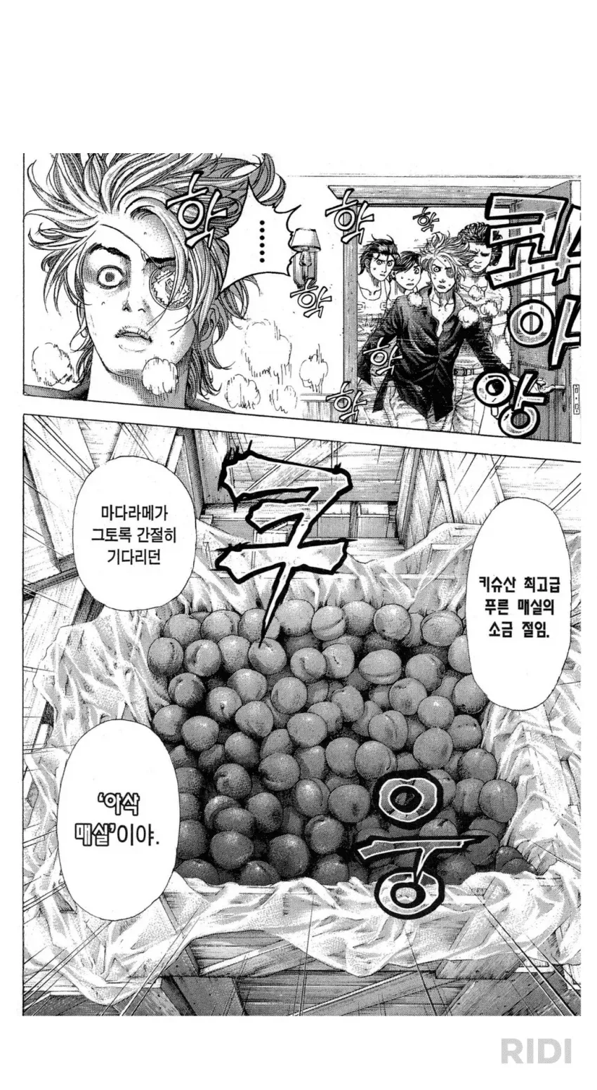 모닝글로리 이미지 2