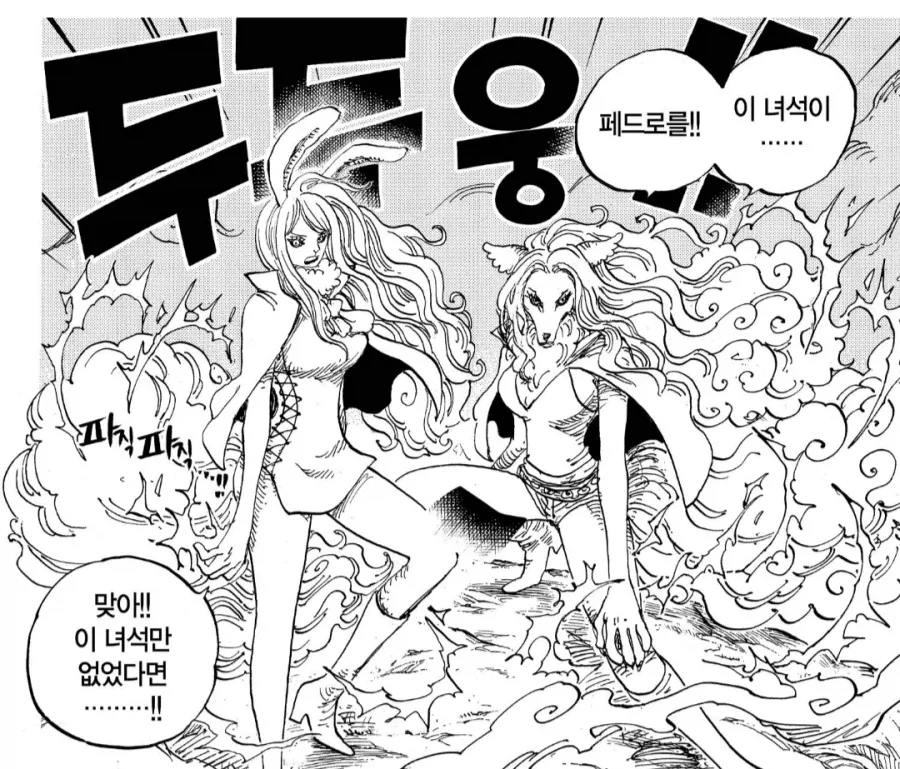 원피스) 작가는 동물 그리는 걸 엄청 좋아함_17.webp