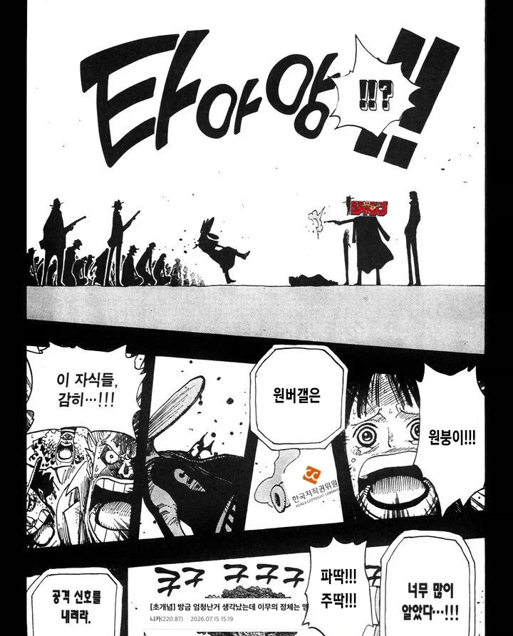 원피스) 몇 주 뒤 그 갤 미래_1.webp