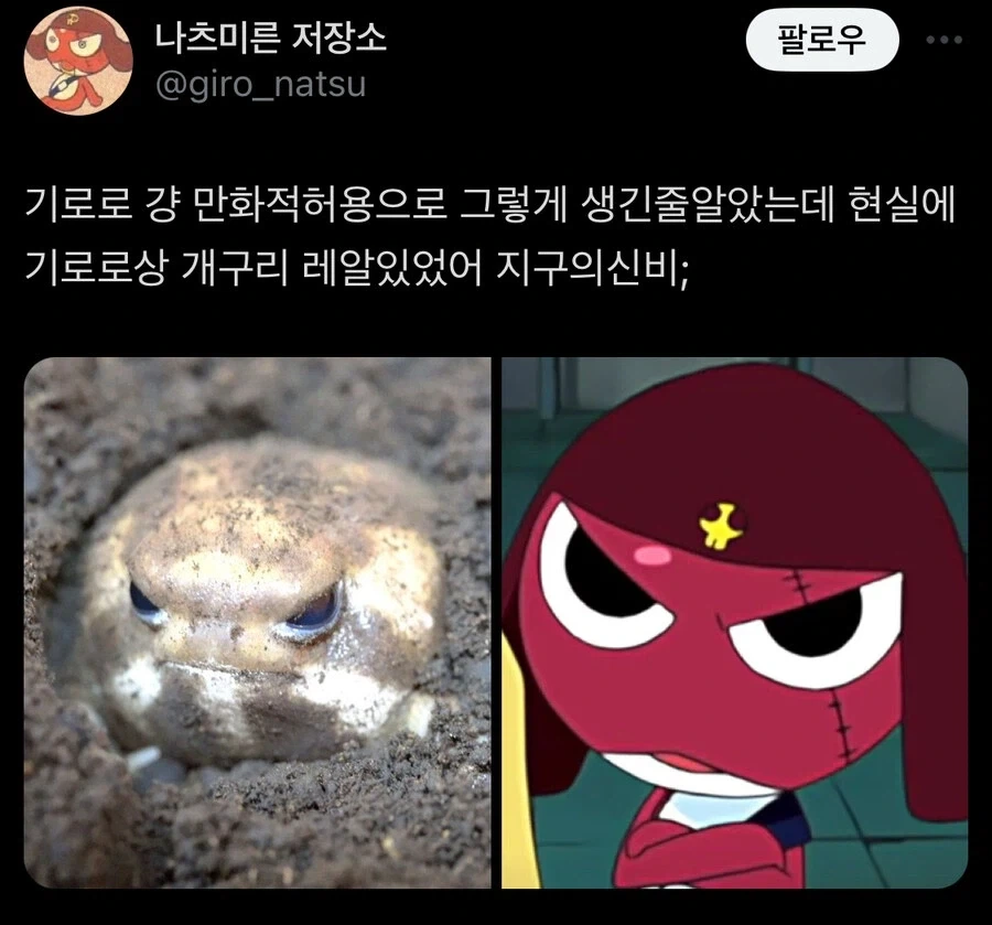 케로로)논리가 납득가서 웃기더라 이미지 8