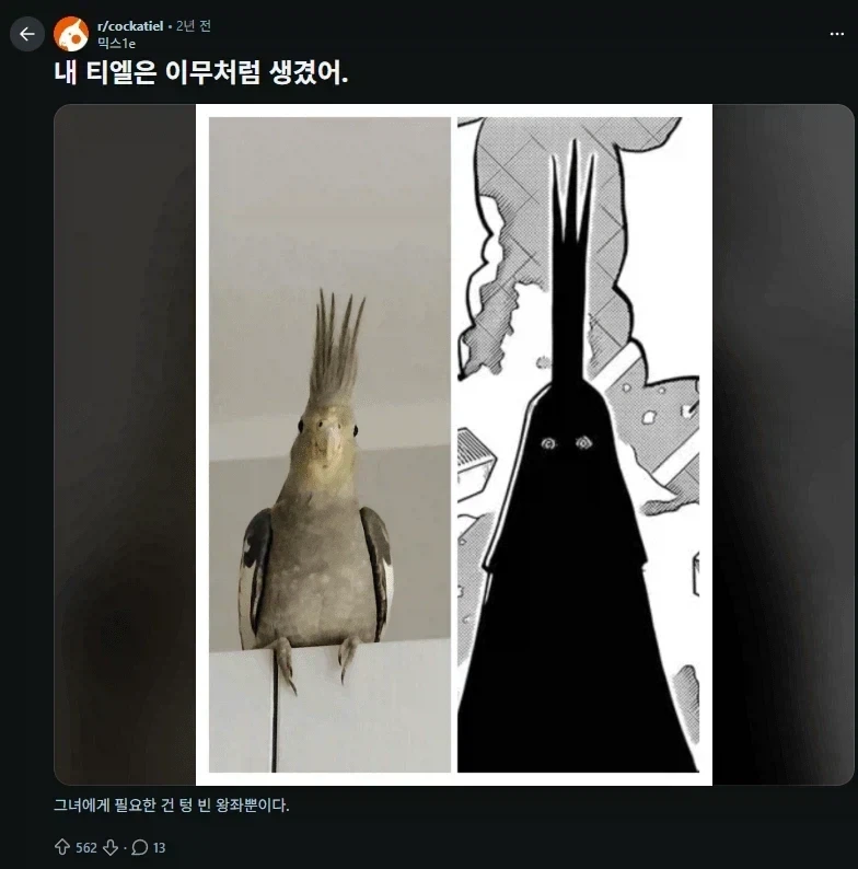 원피스) 나는 인간이다이 이미지 4