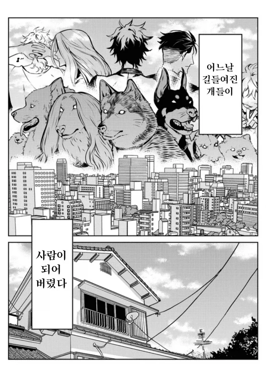 전세계 개들이 사람이 돼버린 만화_1.webp