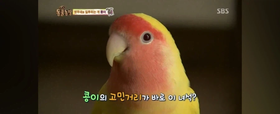 원피스)오다 651 철학 개웃기네ㅋㅋㅋ_3.webp