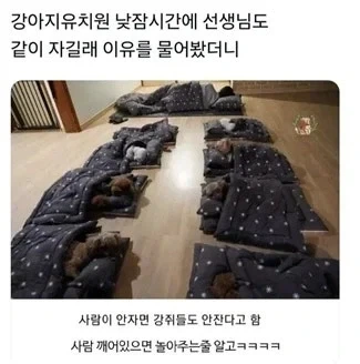 인간 같이 자야한다 멍!_1.webp