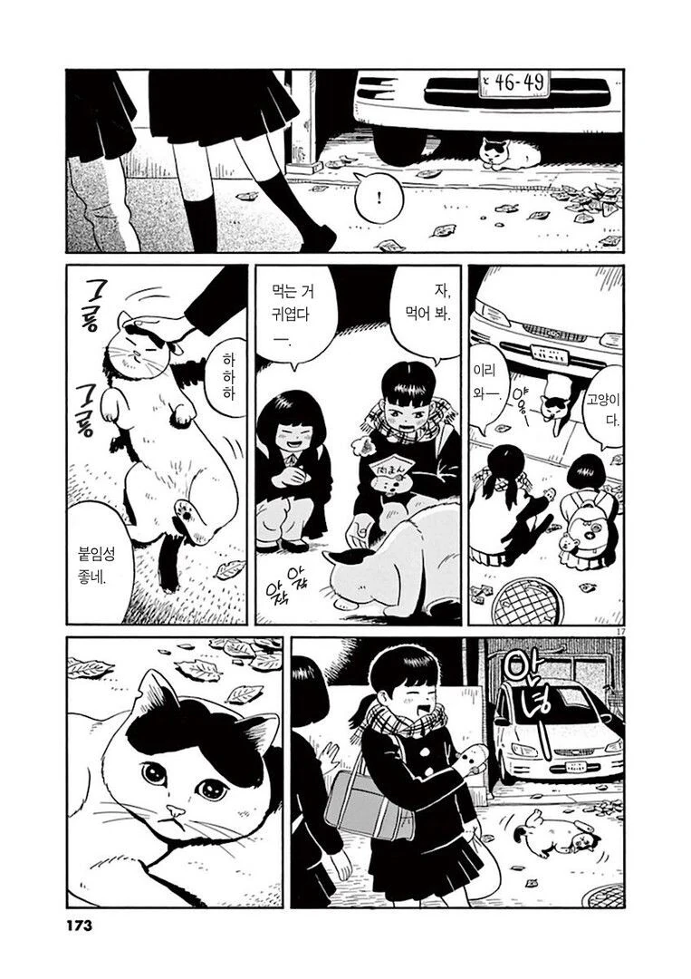 집고양이 분짱의 일년.manga_17.jpg