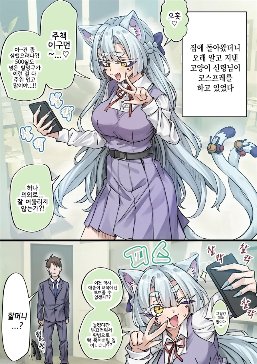 고양이 신령님.manhwa_17.webp