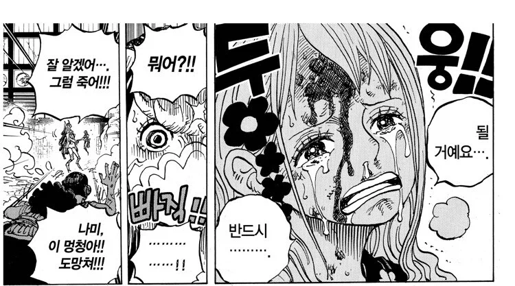 원피스) 사실 루피가 알았으면 노발대발 화를 냈을 상황_2.webp