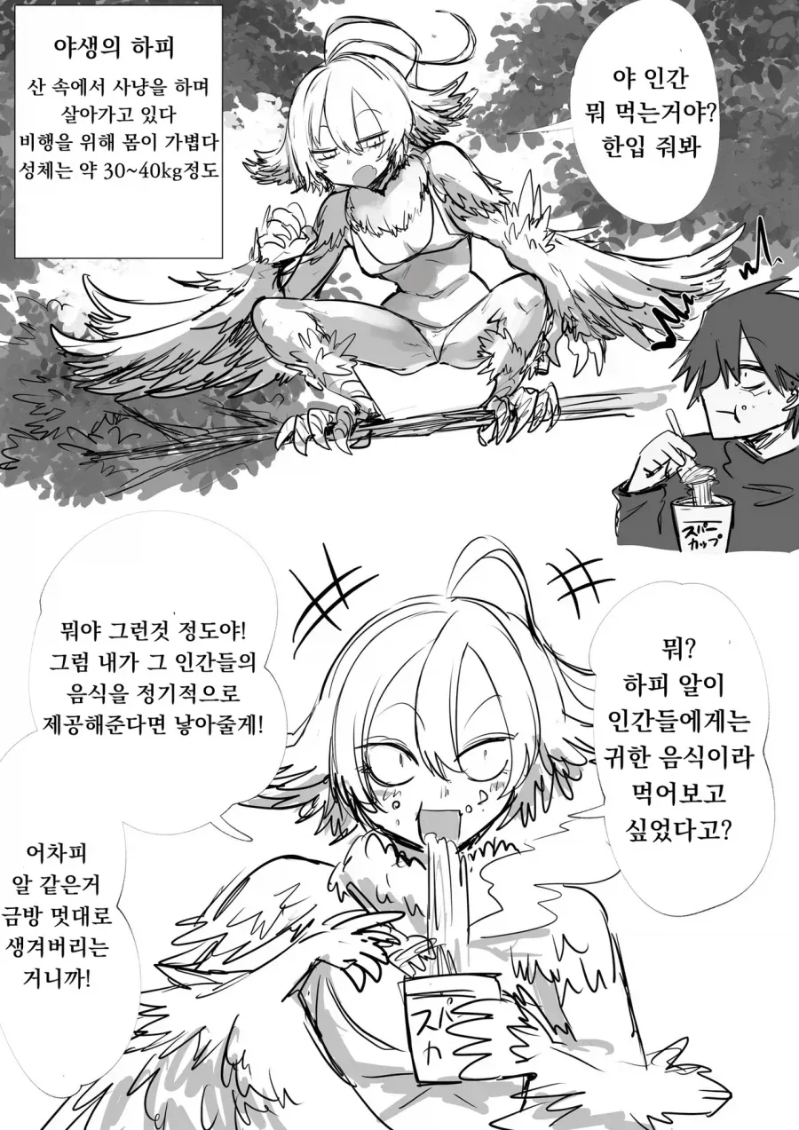 야생 하피 길들이는.manhwa_1.webp