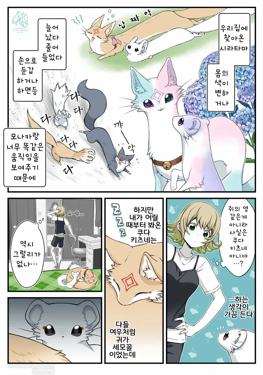 대롱여우 베리가 미녀로 둔갑하는 이유.manhwa_1.webp