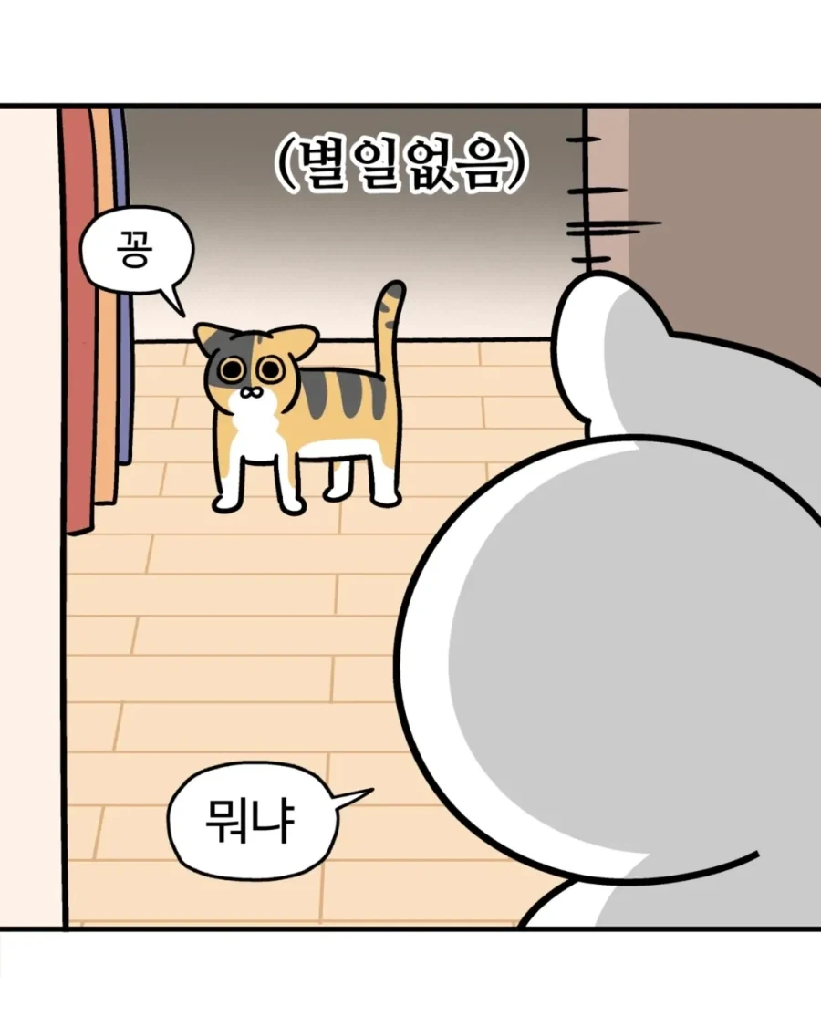 야옹을 하도록 하렴.manwha_2.webp