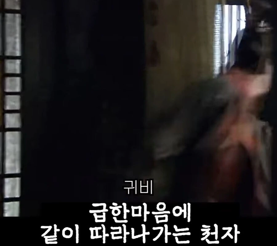 신삼국지)