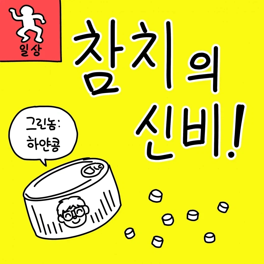 참치의 신비 만화_1.webp