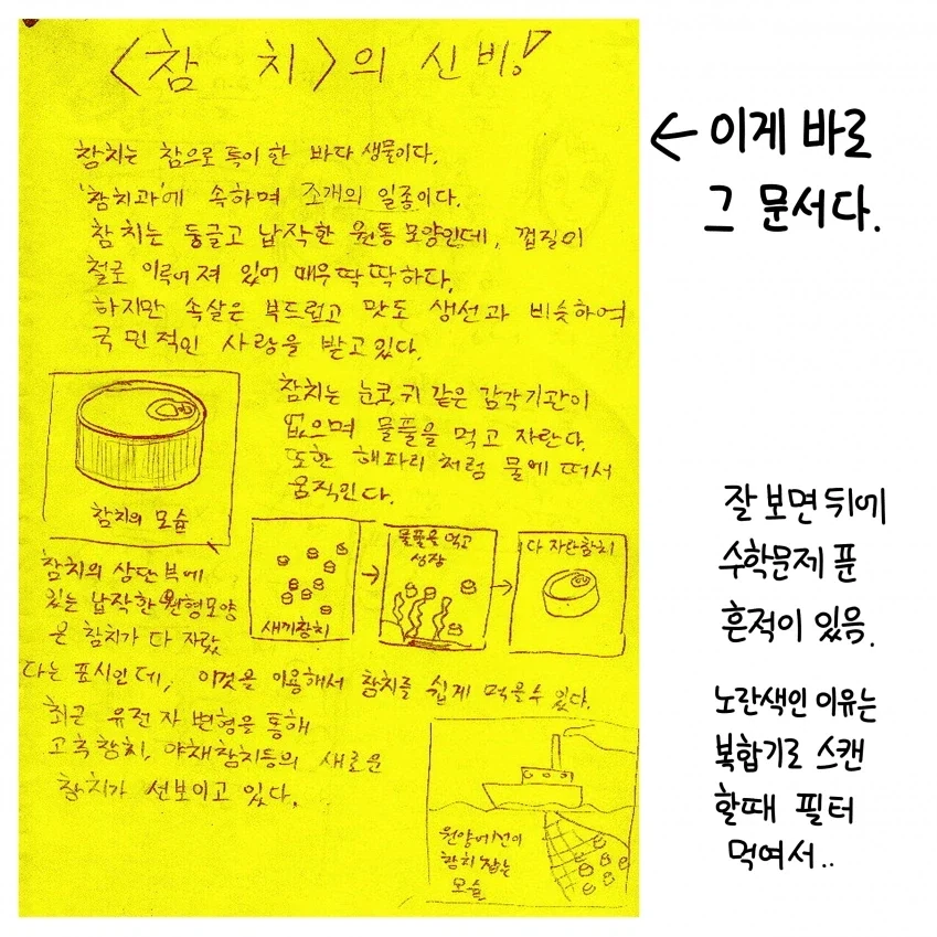 참치의 신비 만화_6.webp