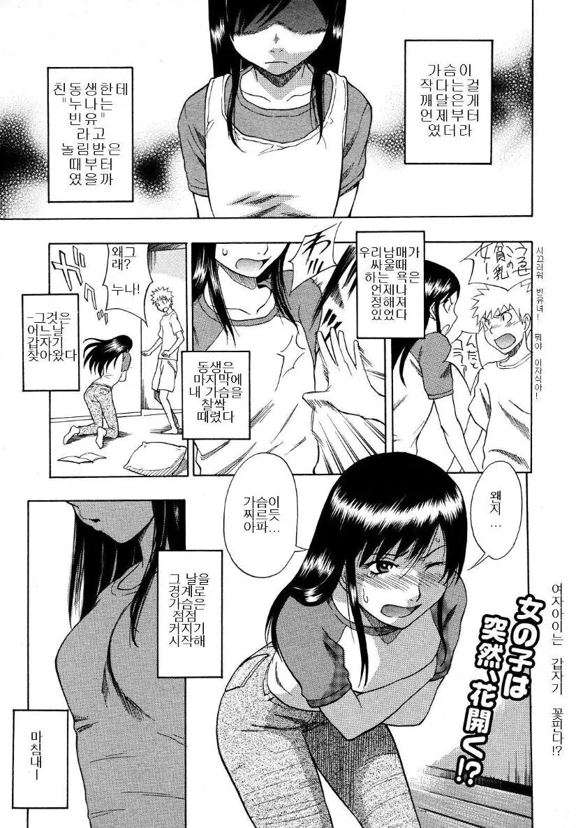 영미권에서 전설이 된 망가.mangga_1.jpg