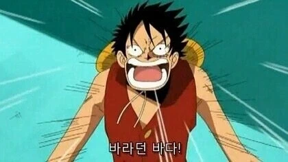 원피스) 작가가 잊지않고 다시 등장시킨 소소한 디테일들_3.webp