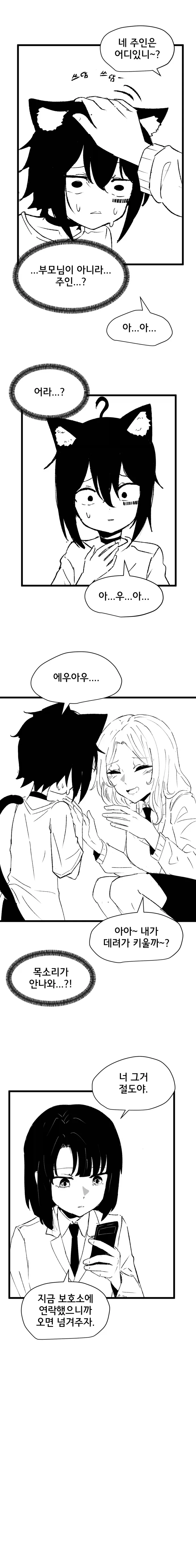 고양이 귀 수인으로 환생한 Manhwa (약 스압)_4.webp