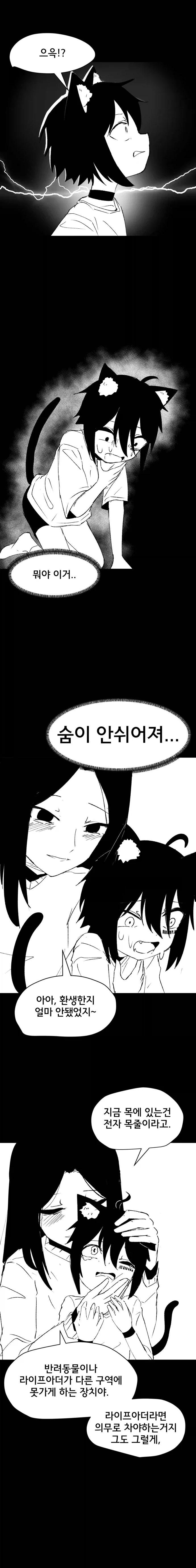 고양이 귀 수인으로 환생한 Manhwa (약 스압)_22.webp