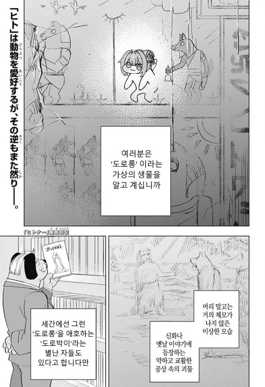 도터스텔라.jpg_1.webp