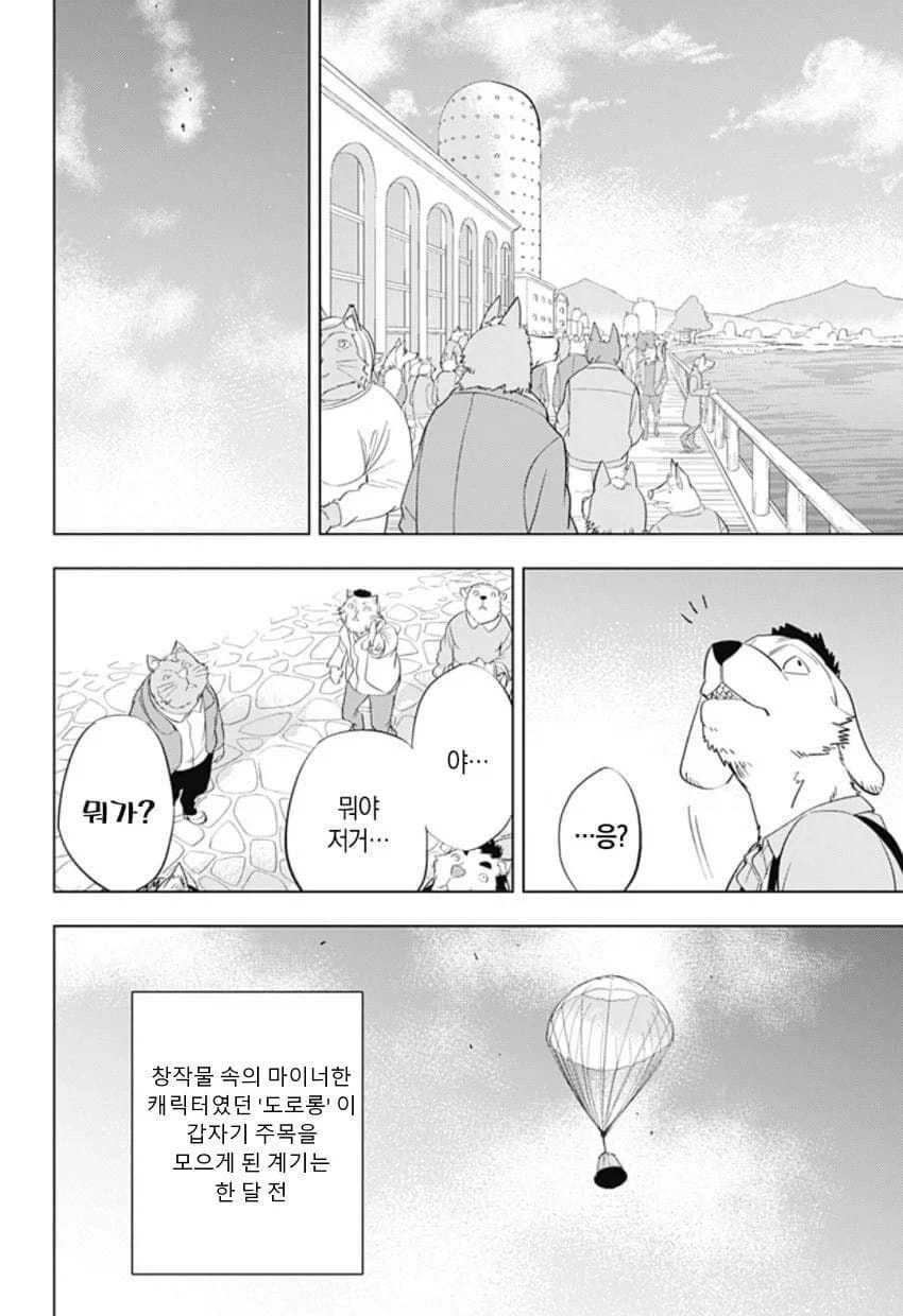 도터스텔라.jpg_2.webp
