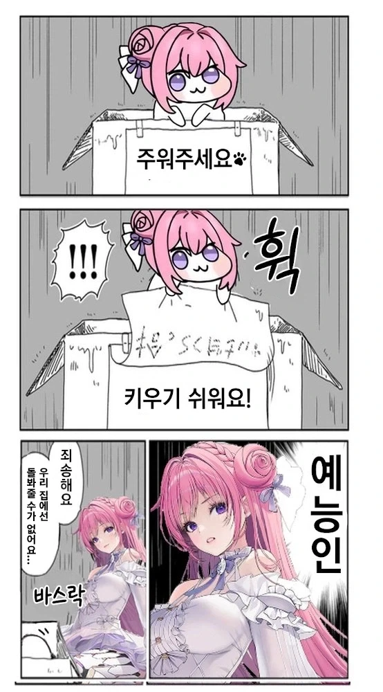 도로롱 줍는 만화_2.webp