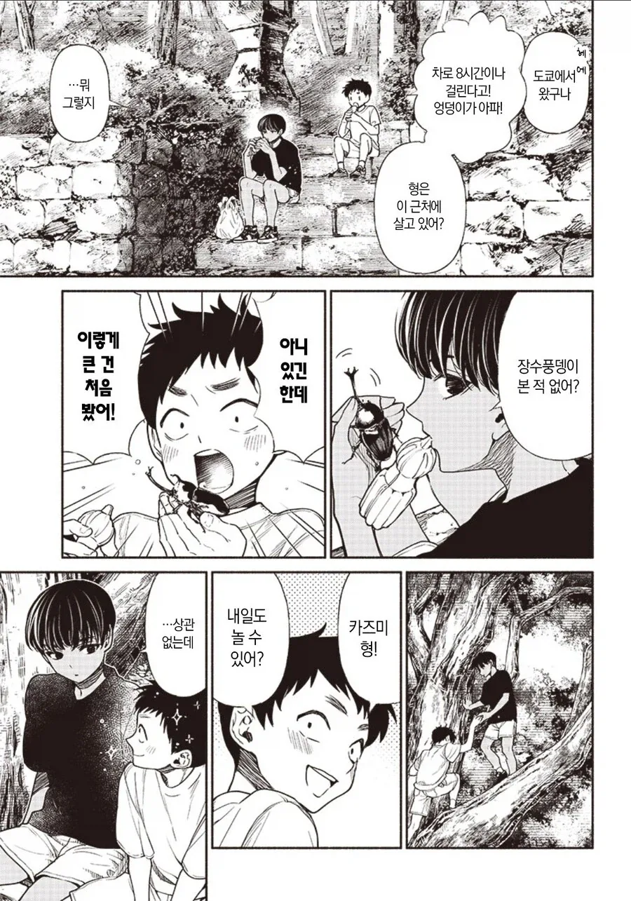 아지랑이 속의 갈색.manhwa_3.webp