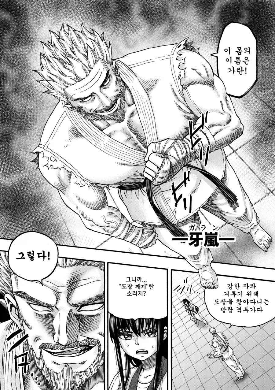 도장깨기 깡패가 쳐들어와서 맞서는 태권소녀.manga_4.webp